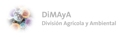 Logo DiMAyA