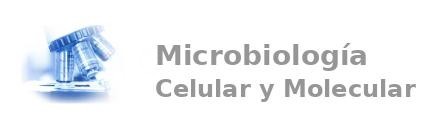 Logo Microbiología Celular y Molecular (MicroMol)